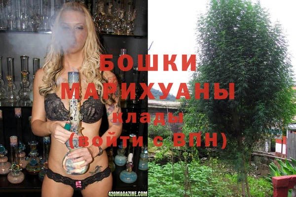 молекула духа Вязники